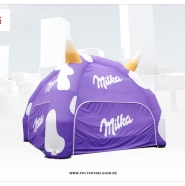 Non - standard Spider Tent